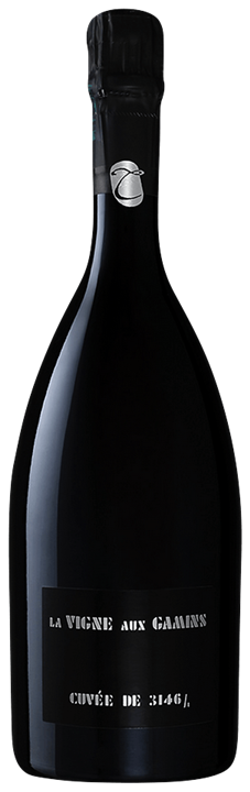 Thienot Vigne aux Gamins Blanc de Blanc Grand Cru